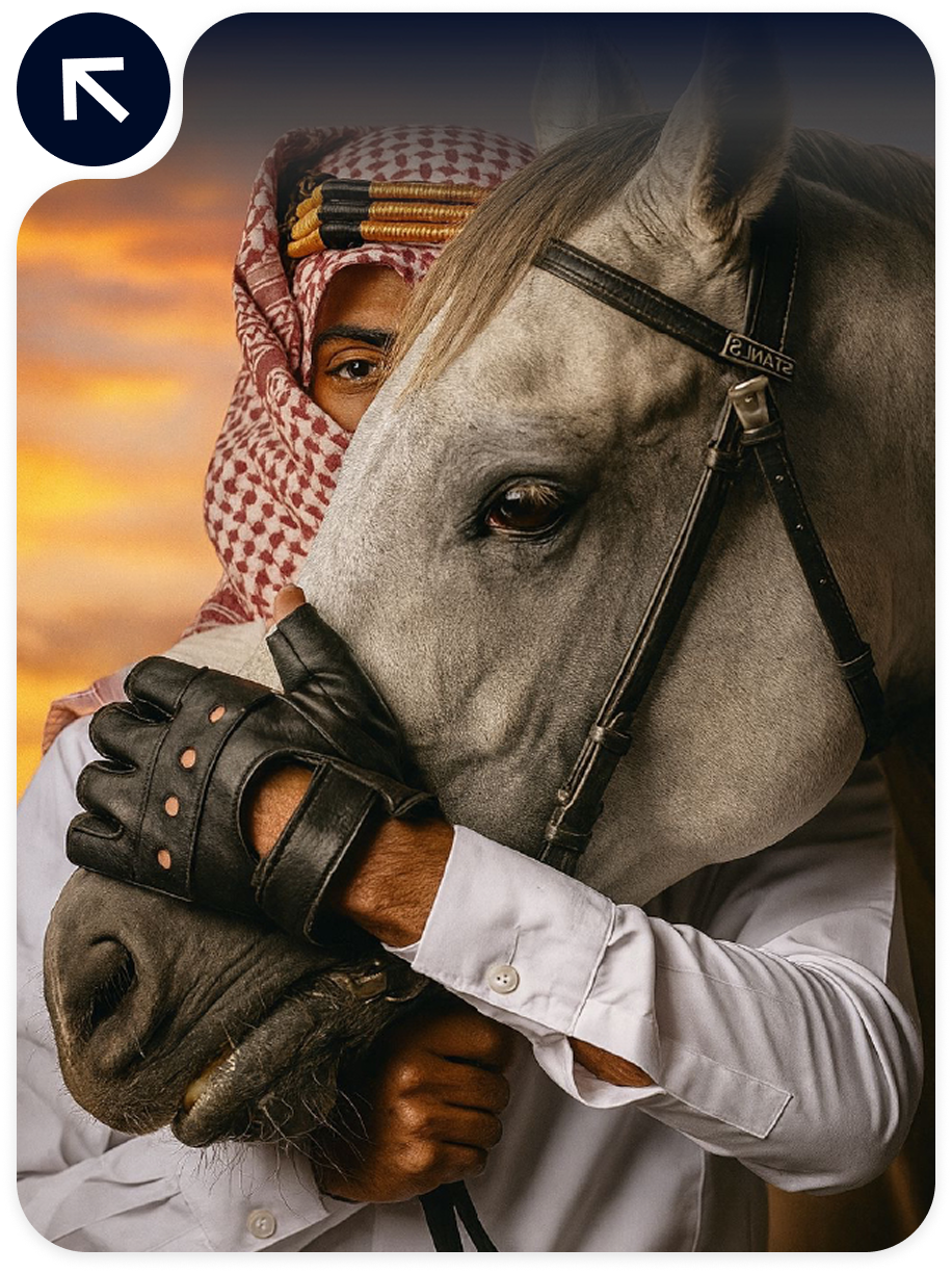 Equestrian & Supplies