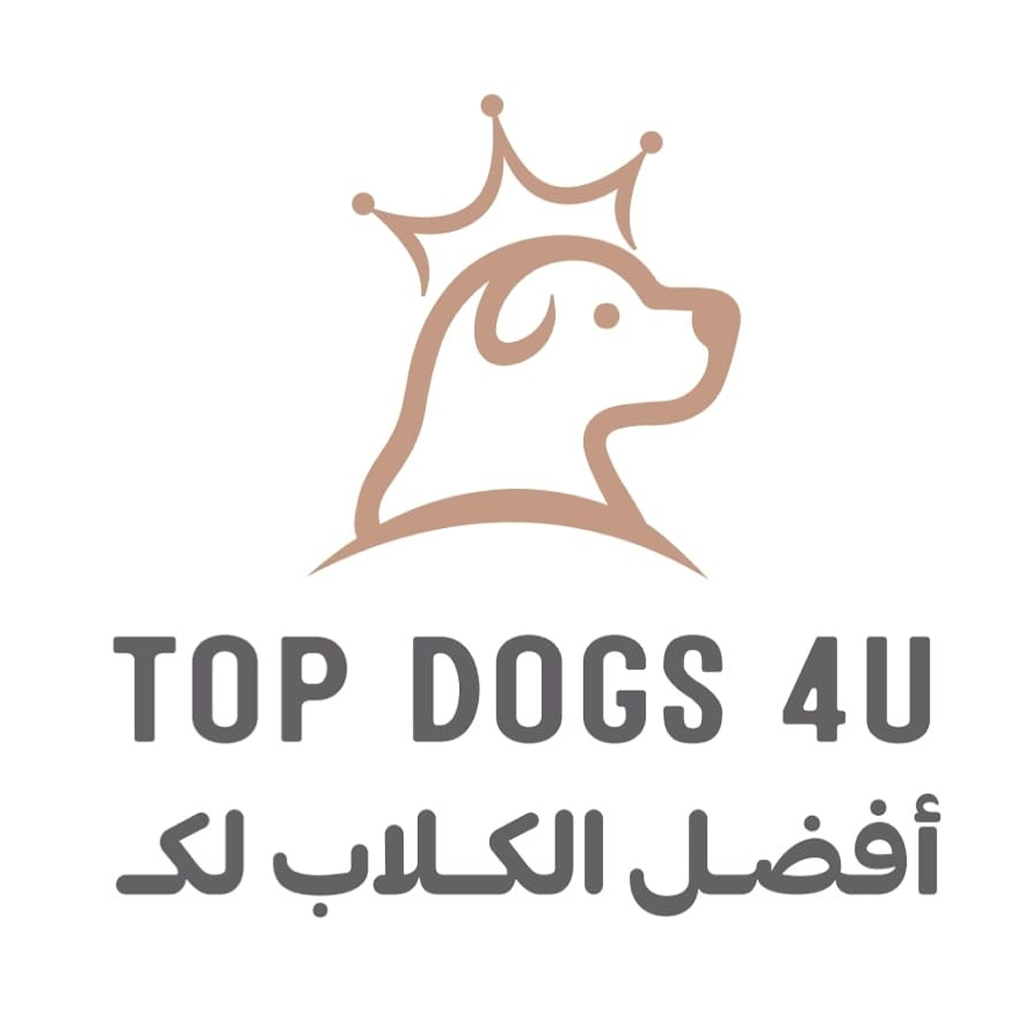 افضل الكلاب لك