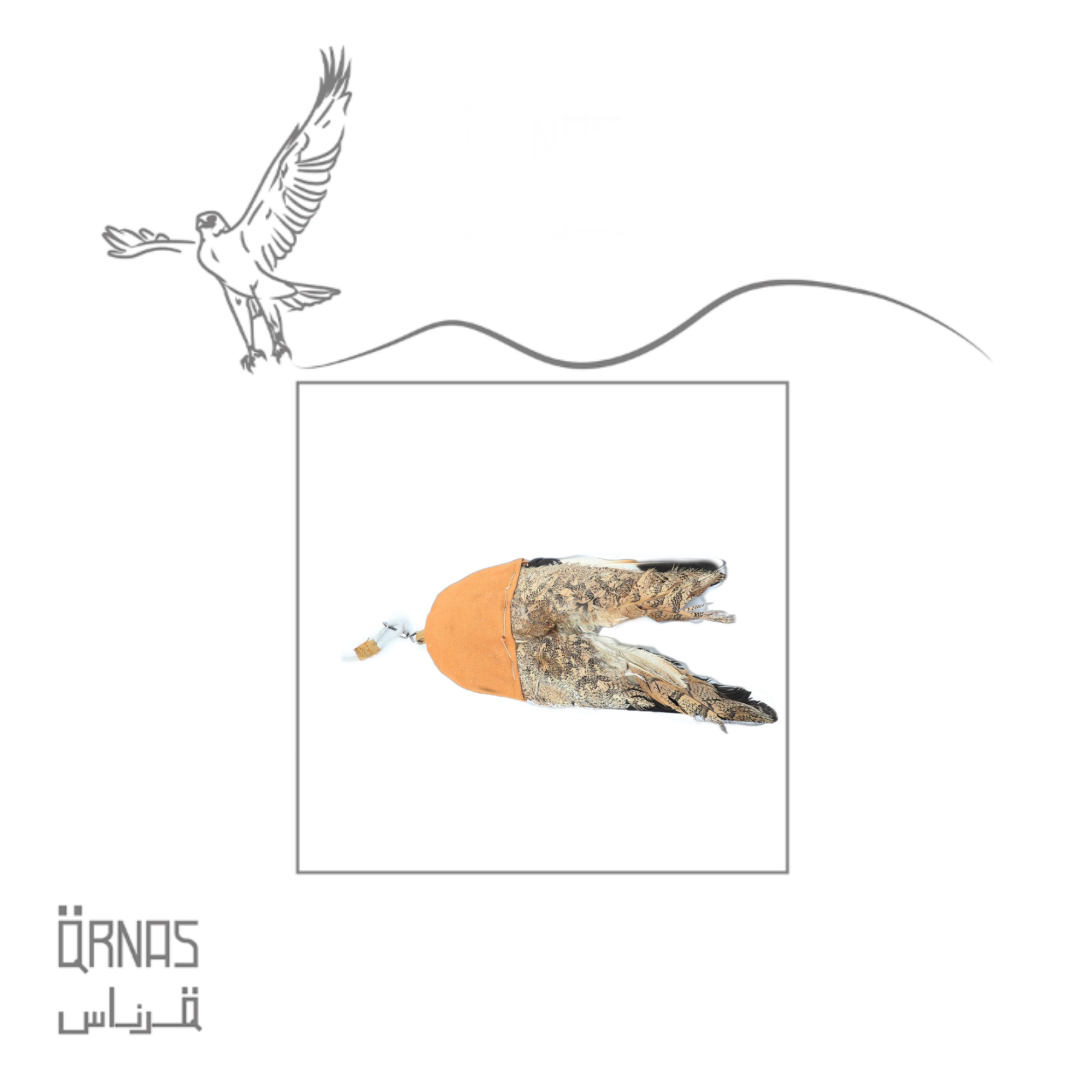 ملواح دعو للصقور