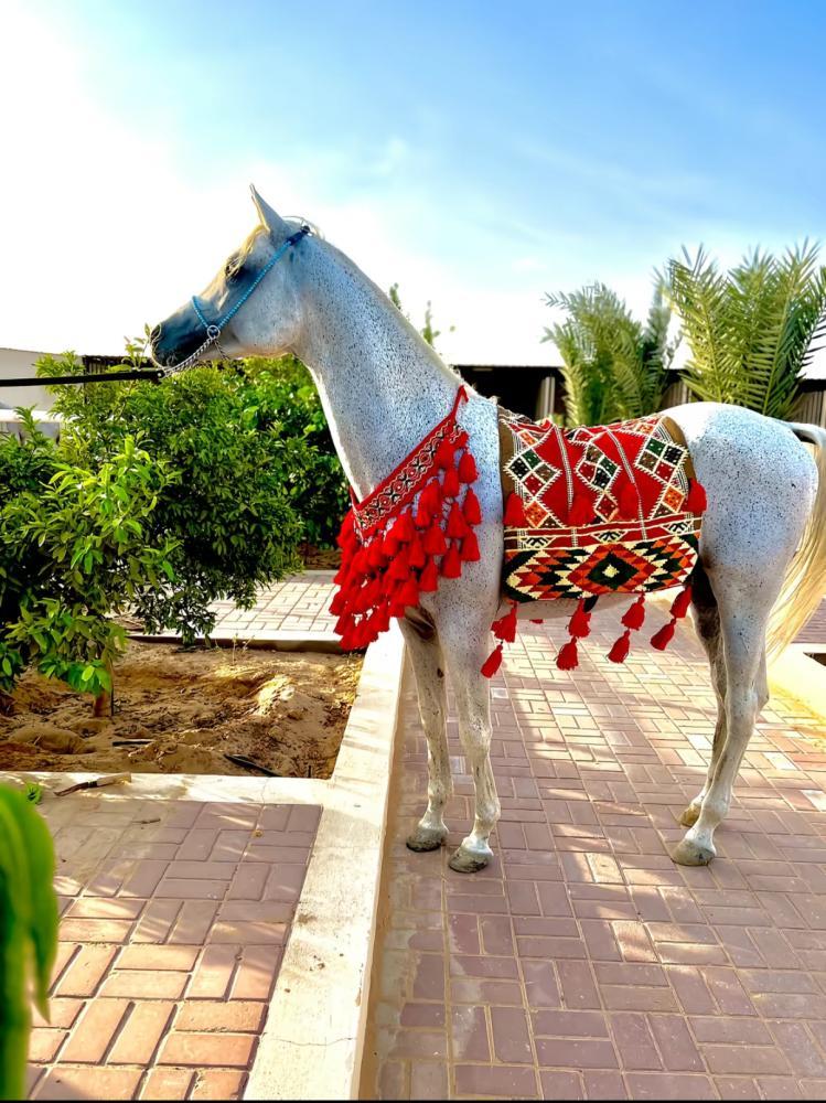 طقم زينة
