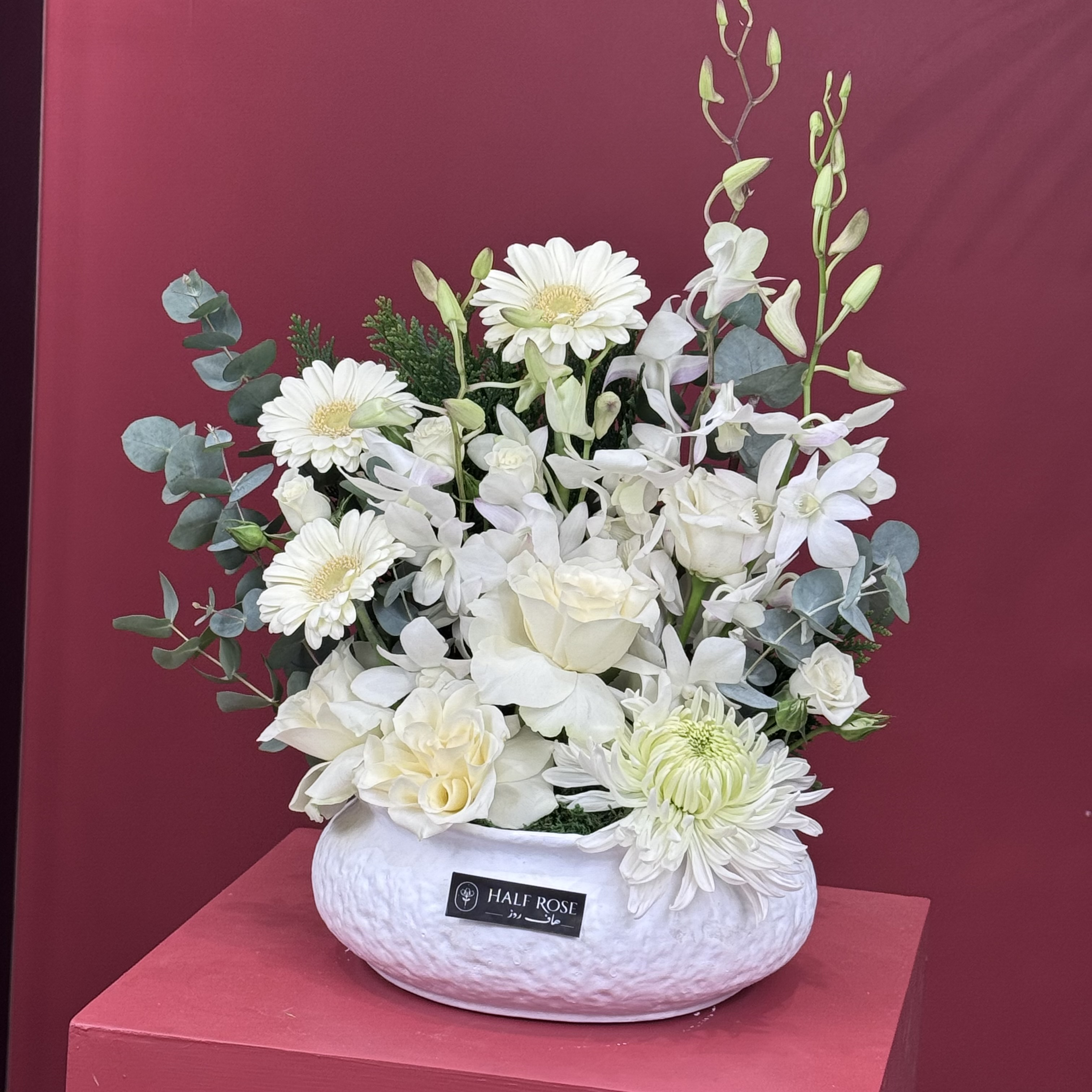 فازة 014
